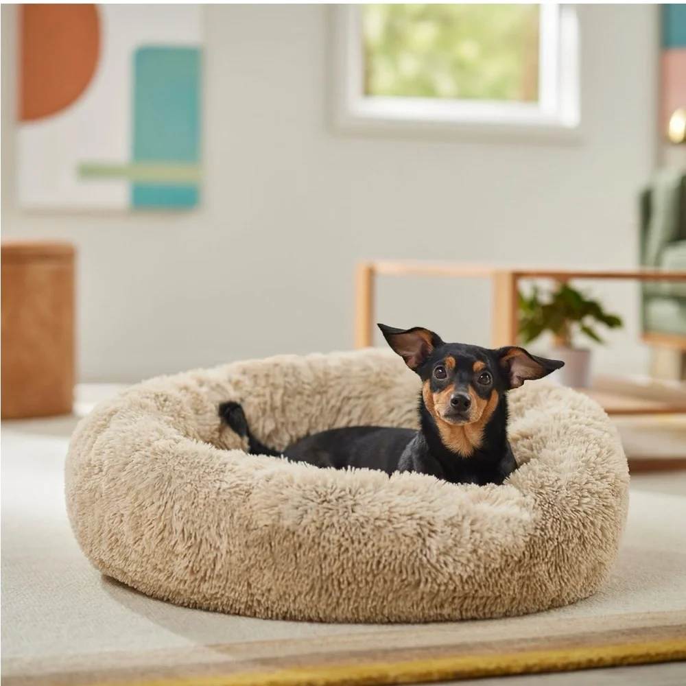 🐾FRISCO EYELASH PET BED🐾